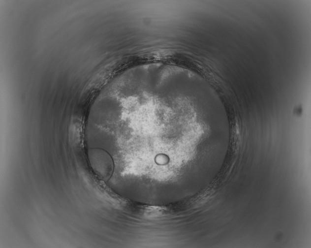 X0000115690222200912031450