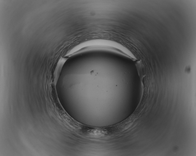 X0000115690223200912031450