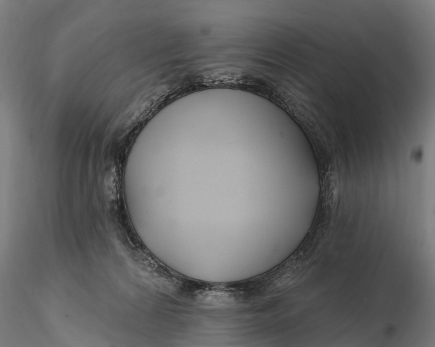 X0000115690224200912031450