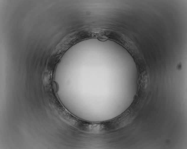 X0000115690225200912031450