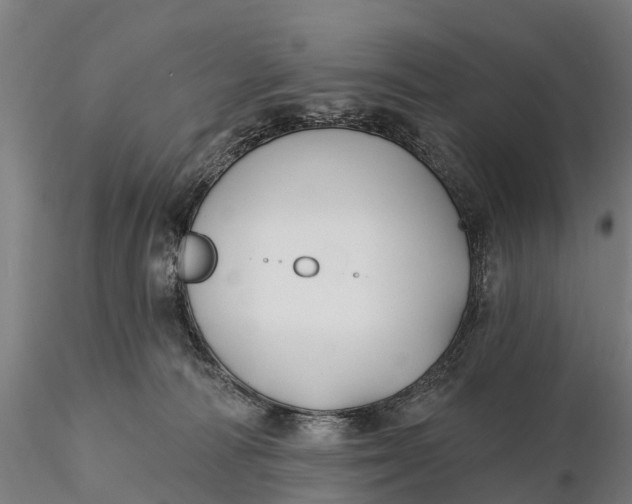 X0000115690226200912031450