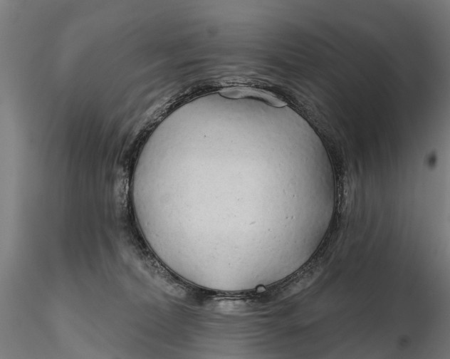 X0000115690228200912031450