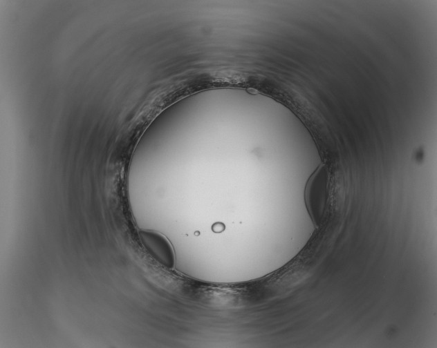 X0000115690229200912031450