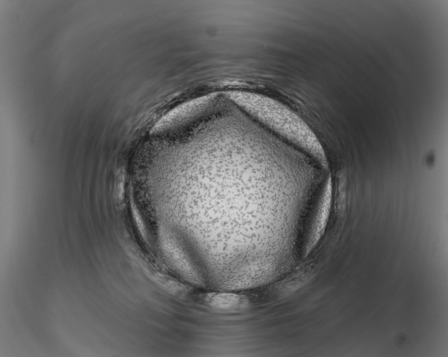 X0000115690230200912031450