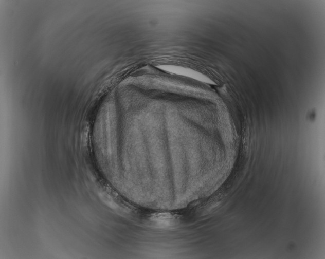 X0000115690231200912031450