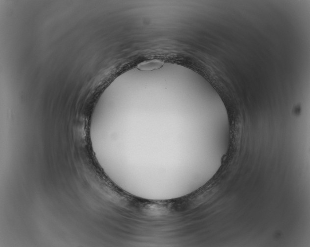 X0000115690232200912031450