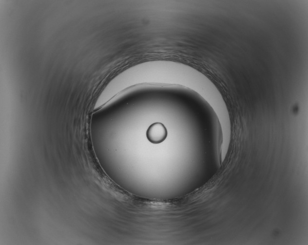 X0000115690233200912031450