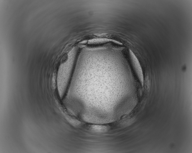 X0000115690234200912031450