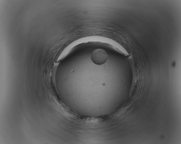 X0000115690235200912031450