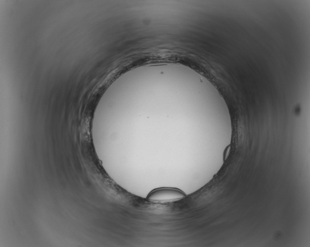 X0000115690236200912031450