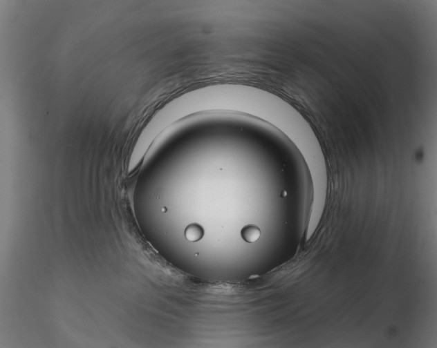 X0000115690237200912031450