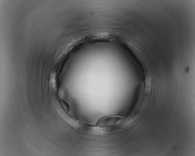 X0000115690238200912031450