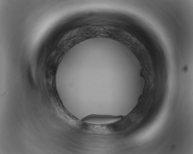 X0000115690239200912031450