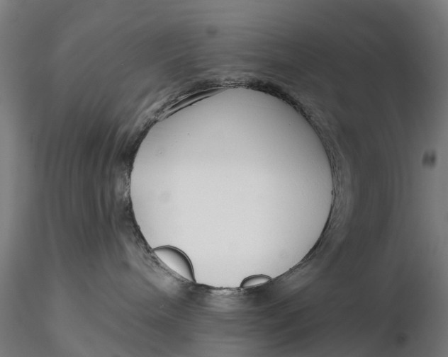 X0000115690240200912031450