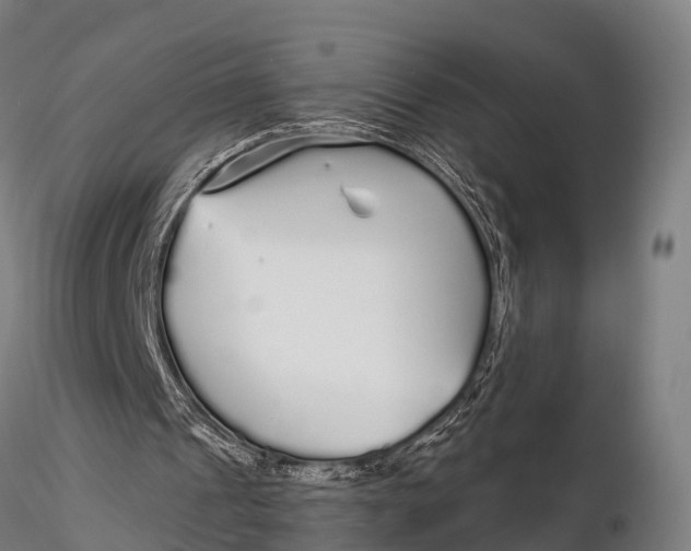 X0000115690241200912031449