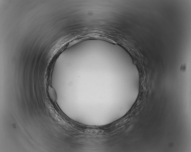 X0000115690242200912031449