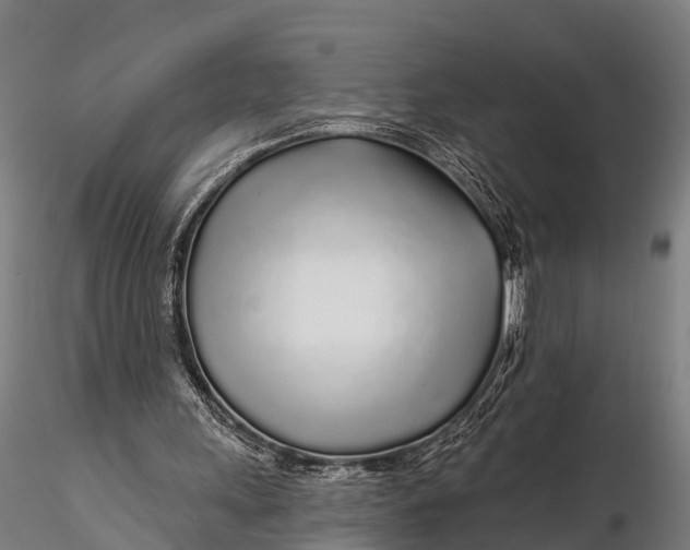 X0000115690243200912031449