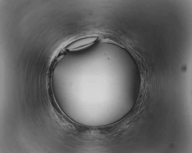 X0000115690244200912031449