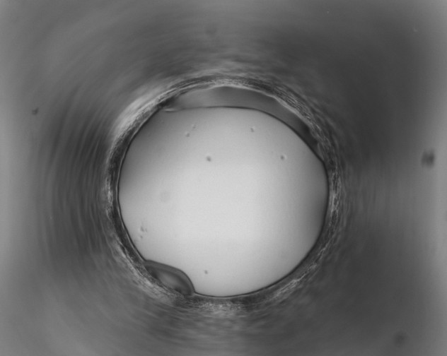 X0000115690245200912031449