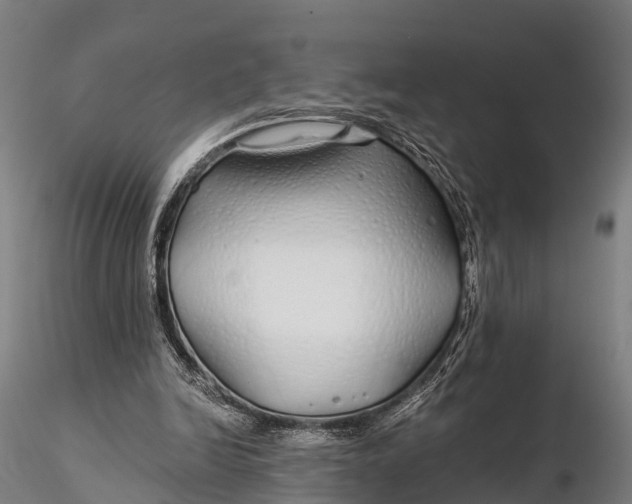 X0000115690246200912031449