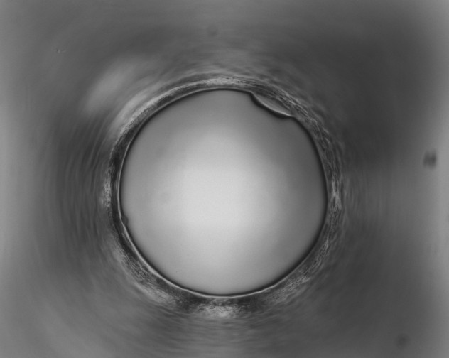 X0000115690247200912031449