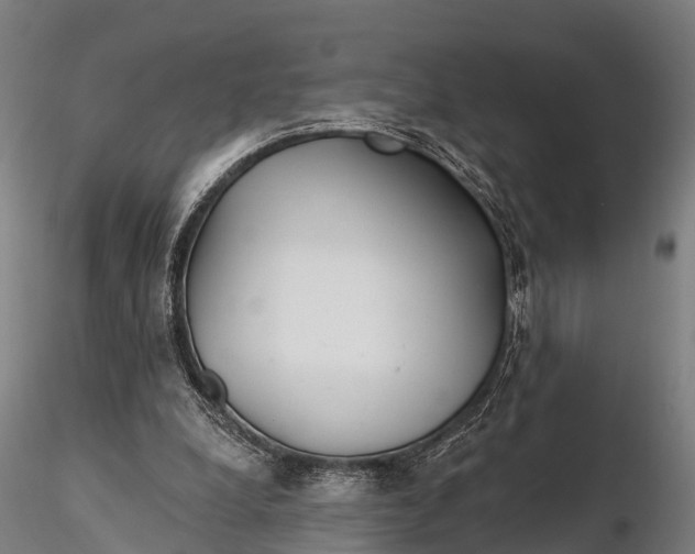 X0000115690248200912031449