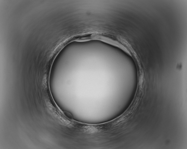 X0000115690249200912031449