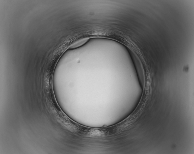 X0000115690257200912031449