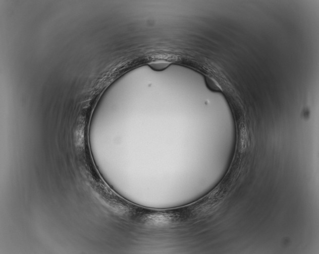 X0000115690259200912031449