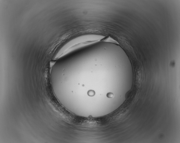 X0000115690260200912031449