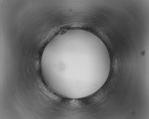 X0000115690261200912031449