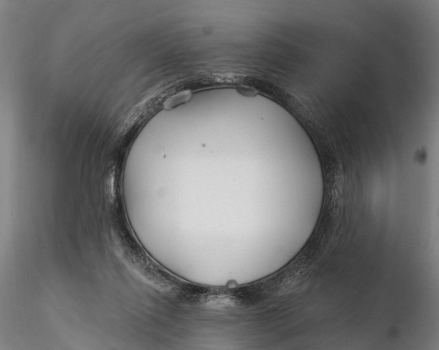 X0000115690262200912031449