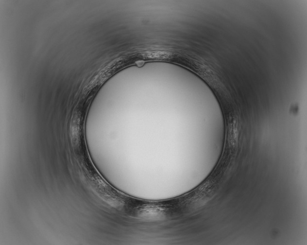 X0000115690263200912031449