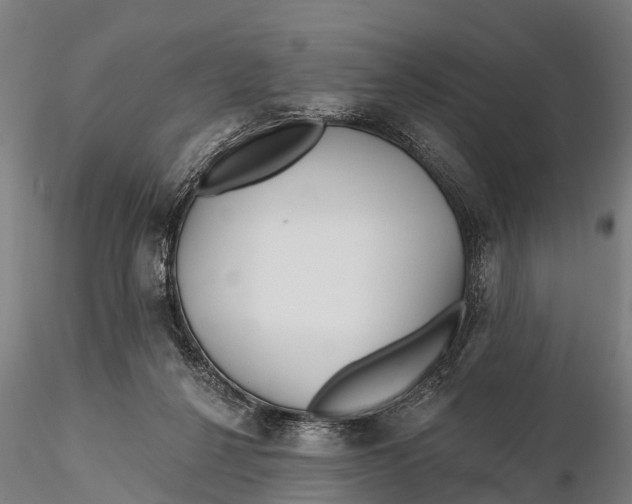 X0000115690264200912031449