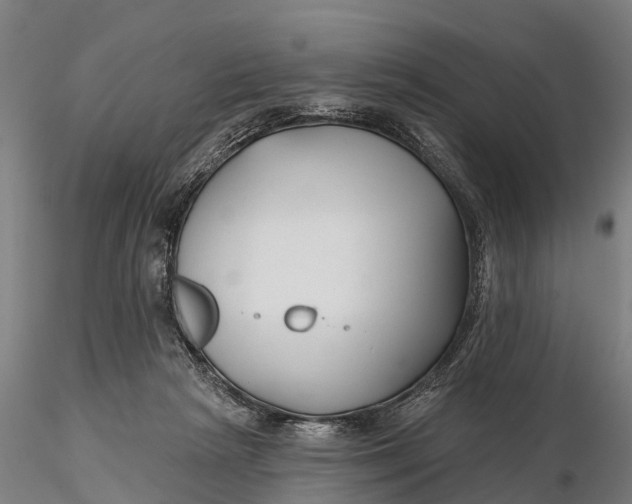 X0000115690265200912031449