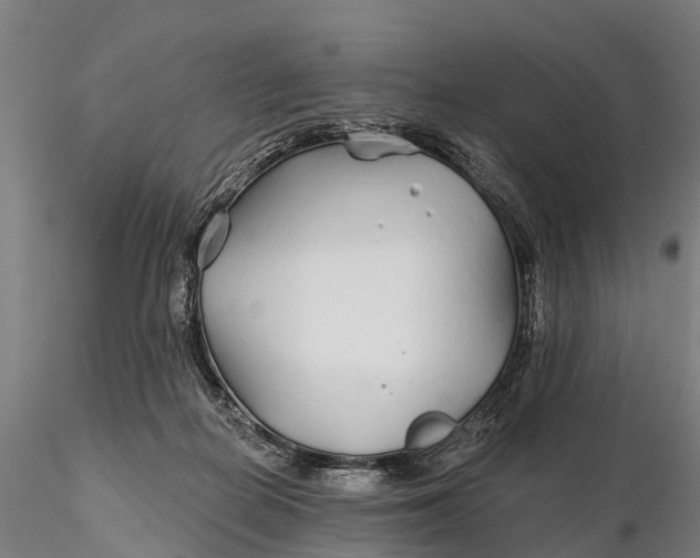 X0000115690266200912031449