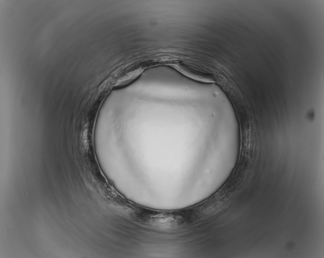 X0000115690267200912031449