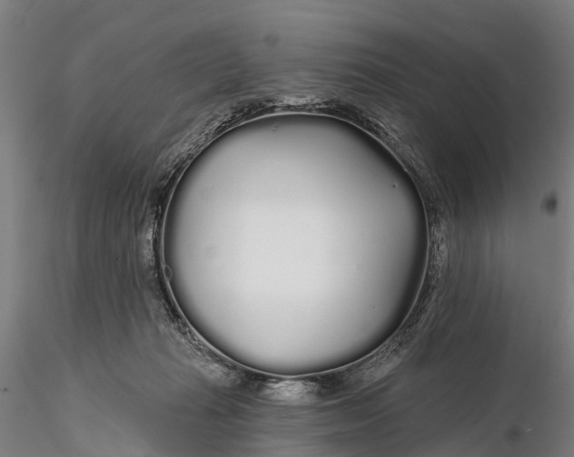 X0000115690269200912031449