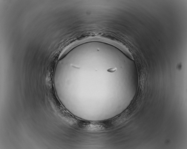 X0000115690270200912031449