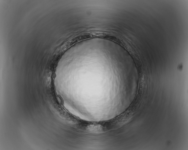 X0000115690271200912031449