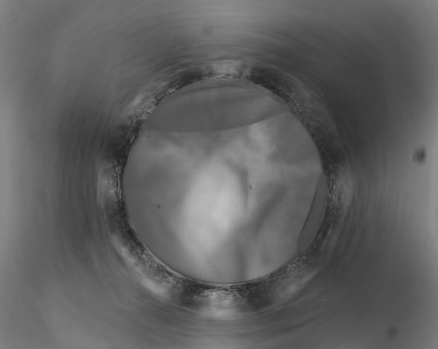 X0000115690272200912031449