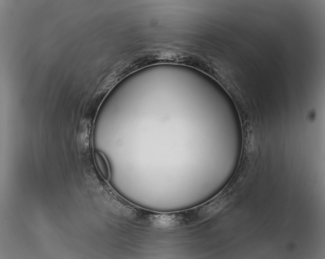 X0000115690273200912031449