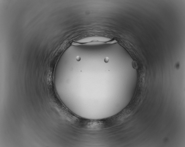 X0000115690274200912031449