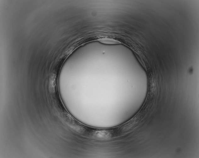 X0000115690275200912031449