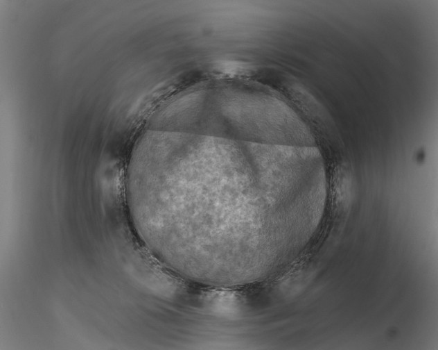 X0000115690276200912031449
