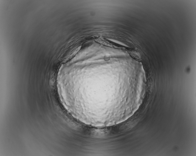 X0000115690277200912031449