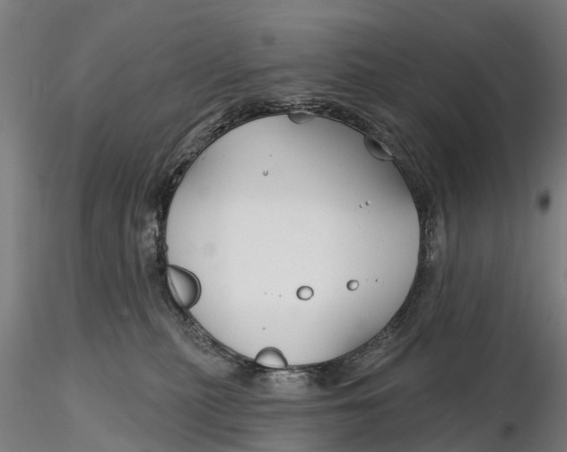 X0000115690279200912031449