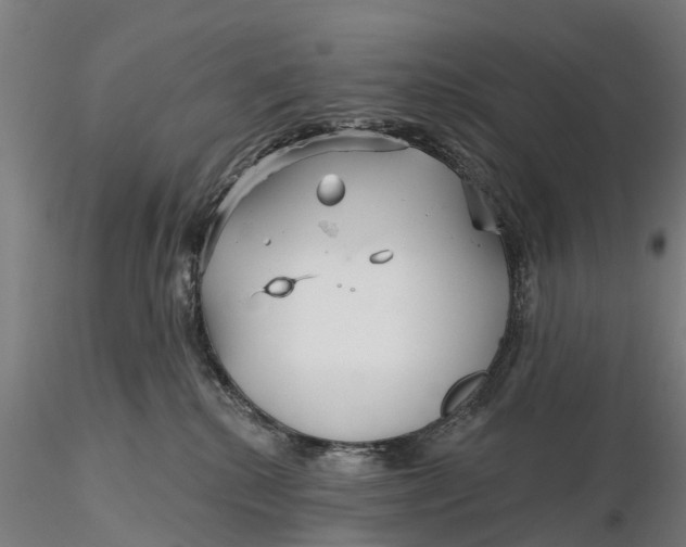 X0000115690280200912031449