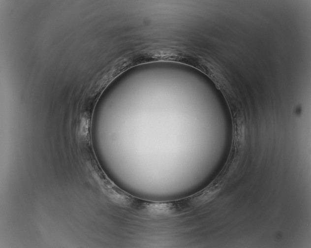 X0000115690281200912031449