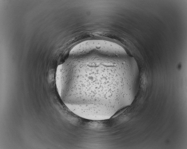 X0000115690284200912031450